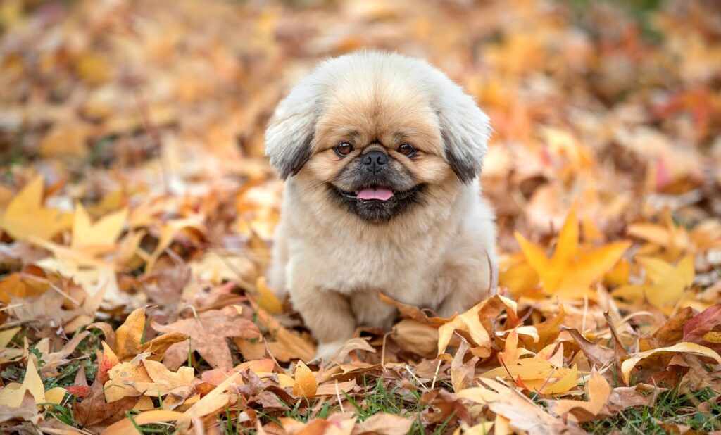 転職エージェントの選び方で失敗しないためのポイントは？