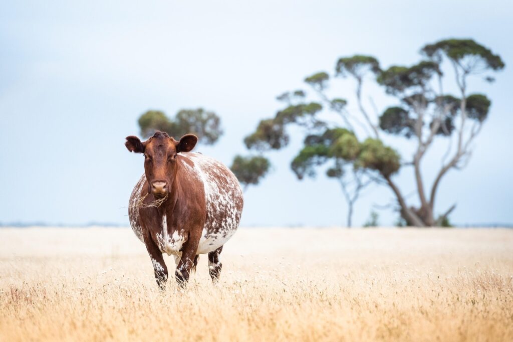 在職中の転職を進めるための効果的な進め方は？