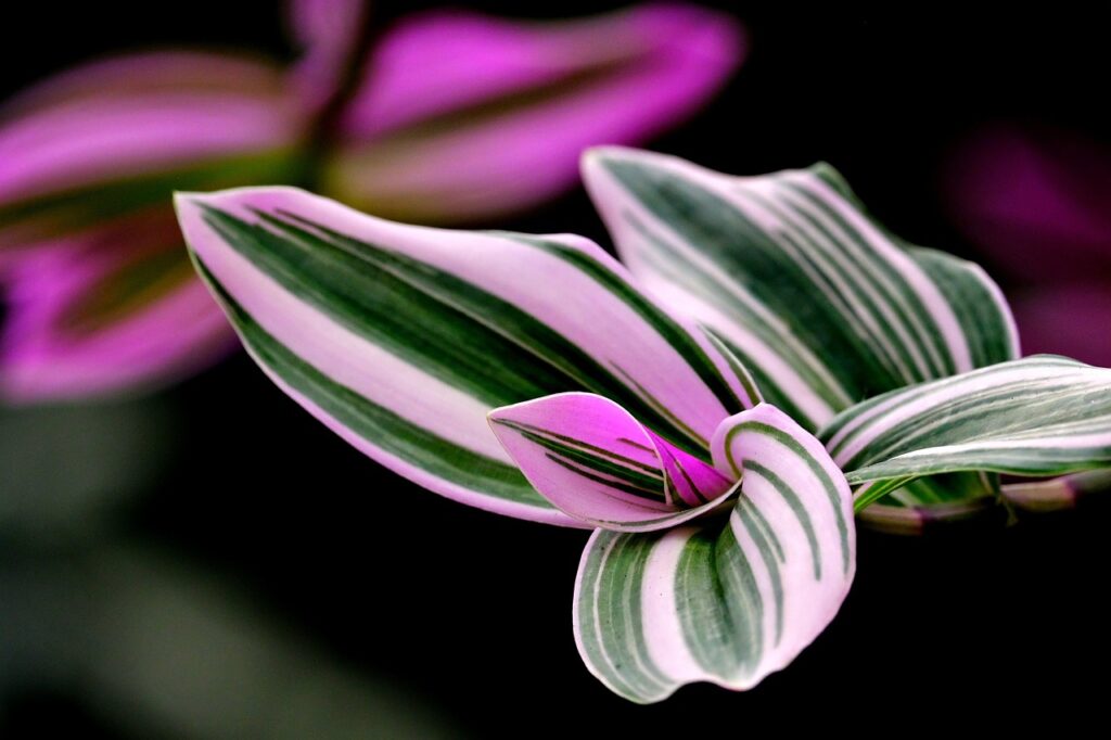 転職における志望動機の書き方は？