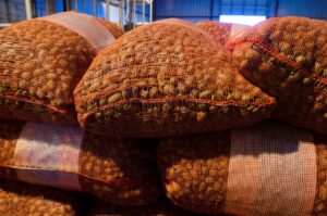 仕事ができないと感じたとき、辞めたいと思う理由は？