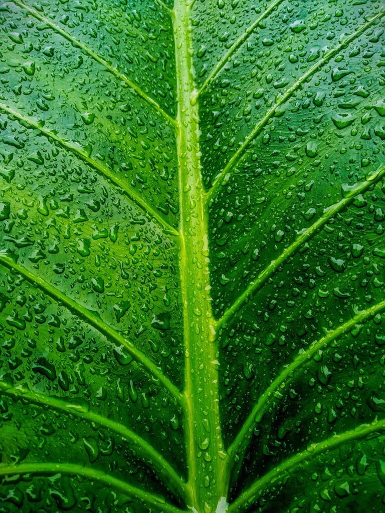 転職するべきかどうかの判断基準は？