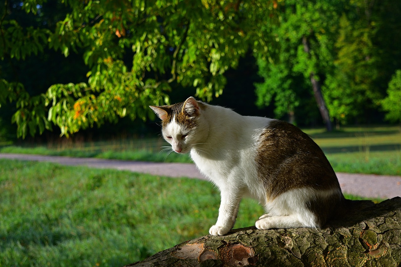 転職を迷うならやめたほうがいいのか？