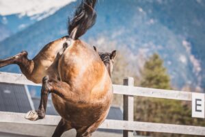 転職エージェントに断る際のポイントは？