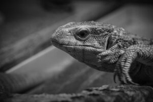 転職エージェントを上手に断る方法とは？