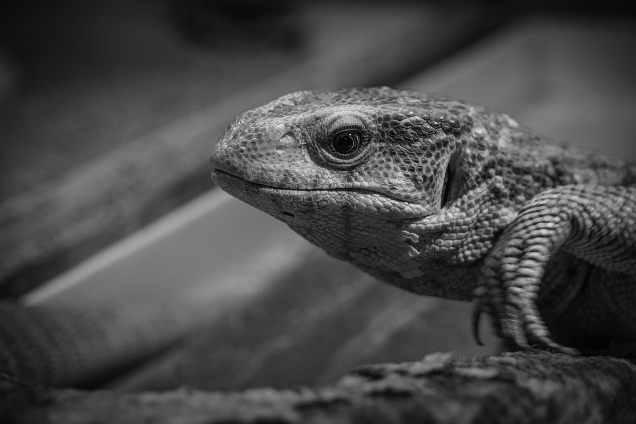 転職エージェントを上手に断る方法とは？