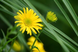 転職の悩みを解消するための効果的なアドバイスは？