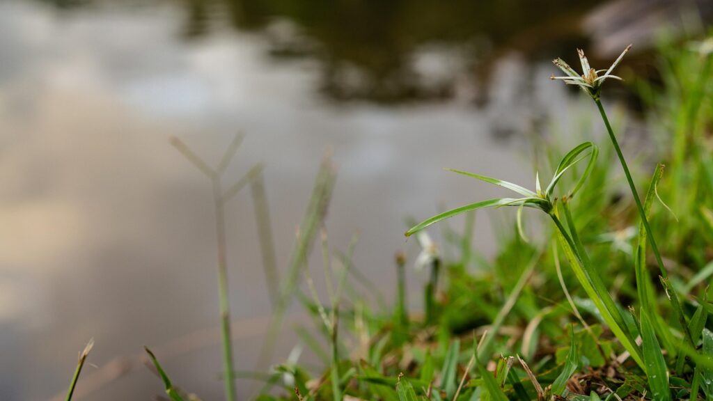 転職活動で効果的な自己PRのコツは？