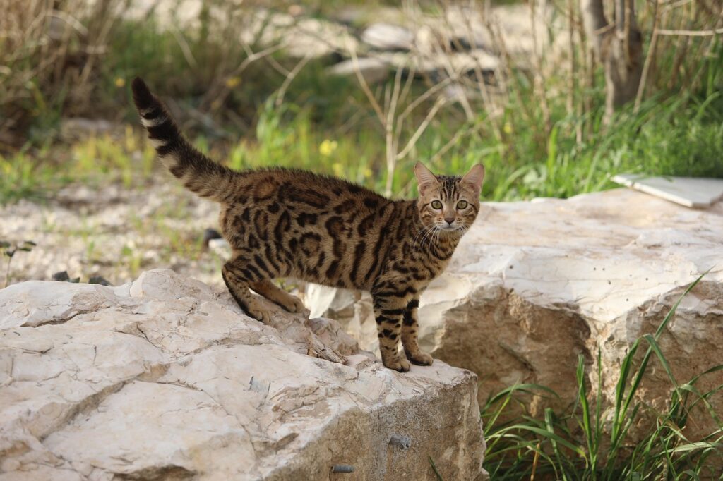 第二新卒の転職で失敗しないためのポイントは？