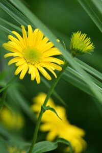 転職の悩みを解決するための効果的なアプローチは？