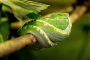 未経験から事務職へ転職するためのコツは？