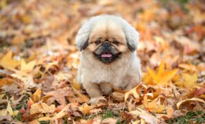 転職したいけど退職が怖いときの不安解消法は？