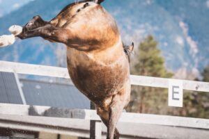 転職エージェントを断る際の注意点は？