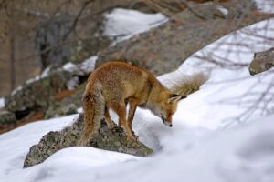 ハイクラス転職を目指す女性に最適なエージェントはどれ？