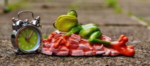 転職を迷っているあなたが相談すべきポイントは？