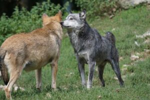 趣味と仕事、生活の優先順位を転職で迷わず決める方法は？