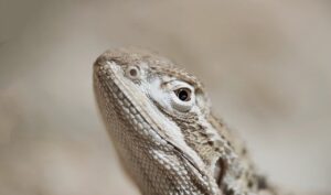 転職したいけどブランクがある場合、どうすれば成功する？