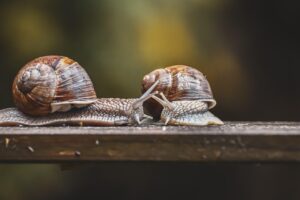 転職の内定承諾期限を延ばす方法は？