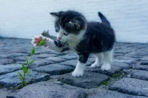 転職の口コミや評判は本当に信頼できる？