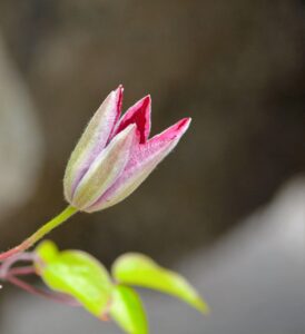 転職初心者が知っておくべき注意点は何ですか？
