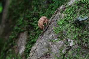 転職の際の退職理由の伝え方はどうするべき？
